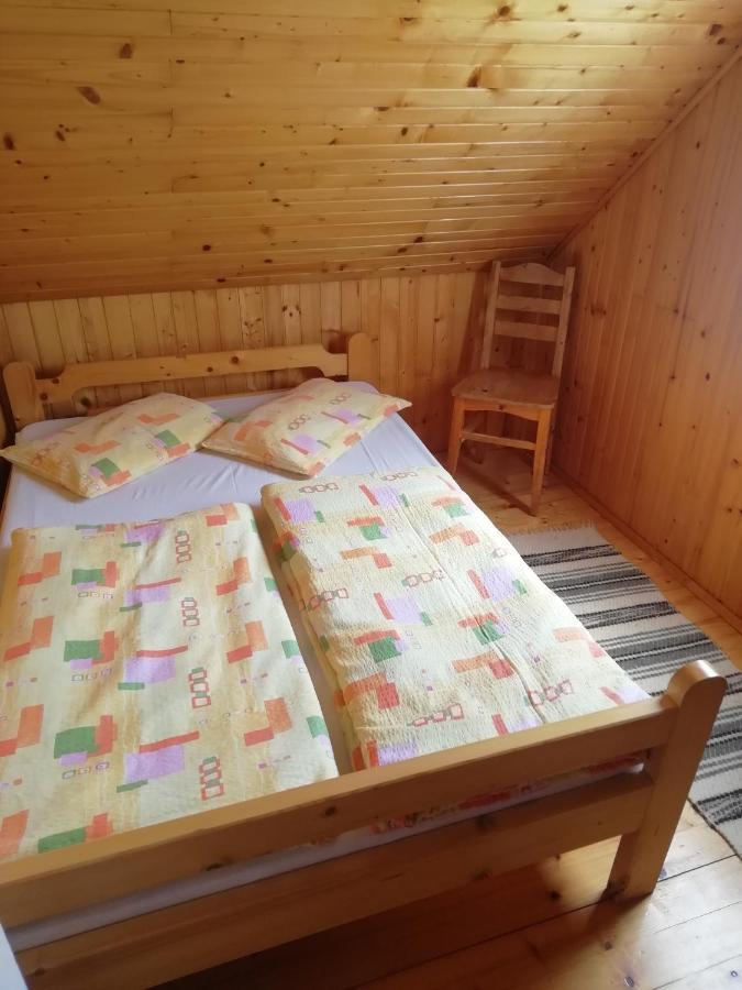 Demeny Vendeghaz Villa Sub Cetate Ngoại thất bức ảnh