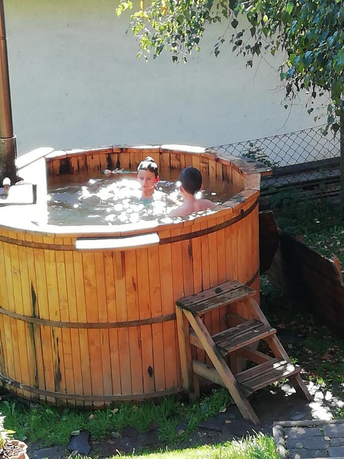 Demeny Vendeghaz Villa Sub Cetate Ngoại thất bức ảnh